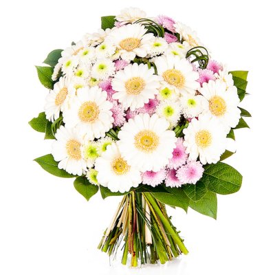 Pro romantiky Pro romantiky